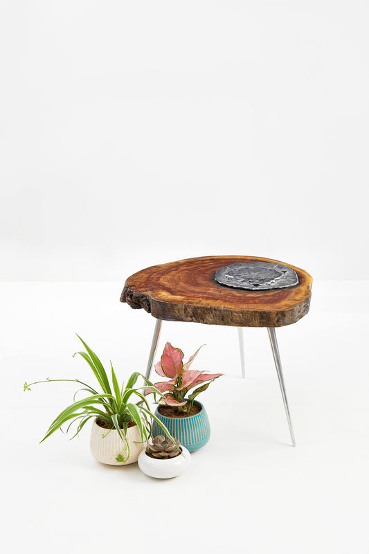 Molten Wood Tables